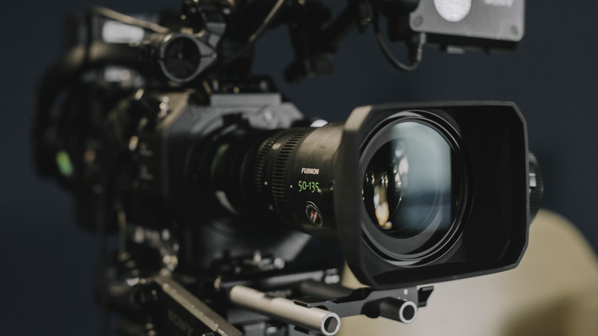 O cinema português volta a conquistar a atenção dos grandes festivais internacionais.